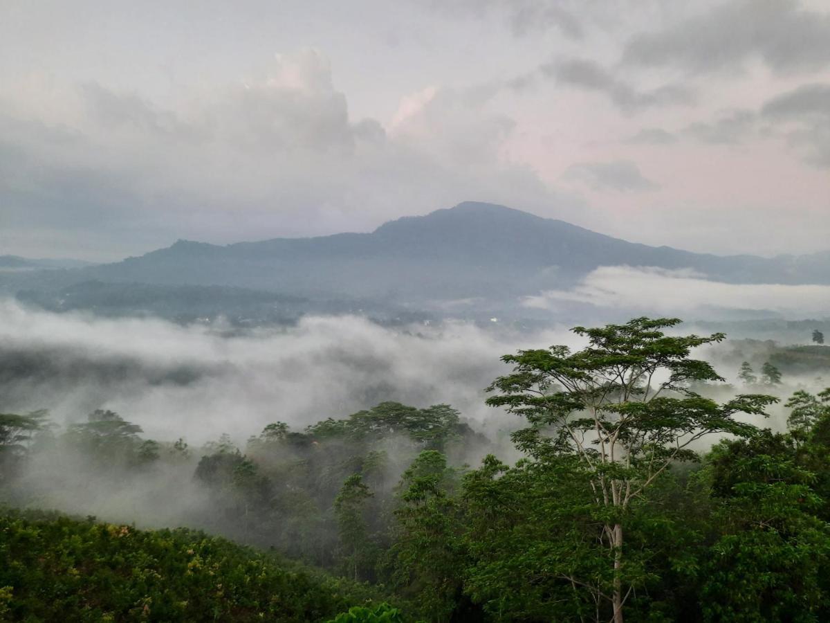 Terrace Cinnamon View Ratnapura Kültér fotó