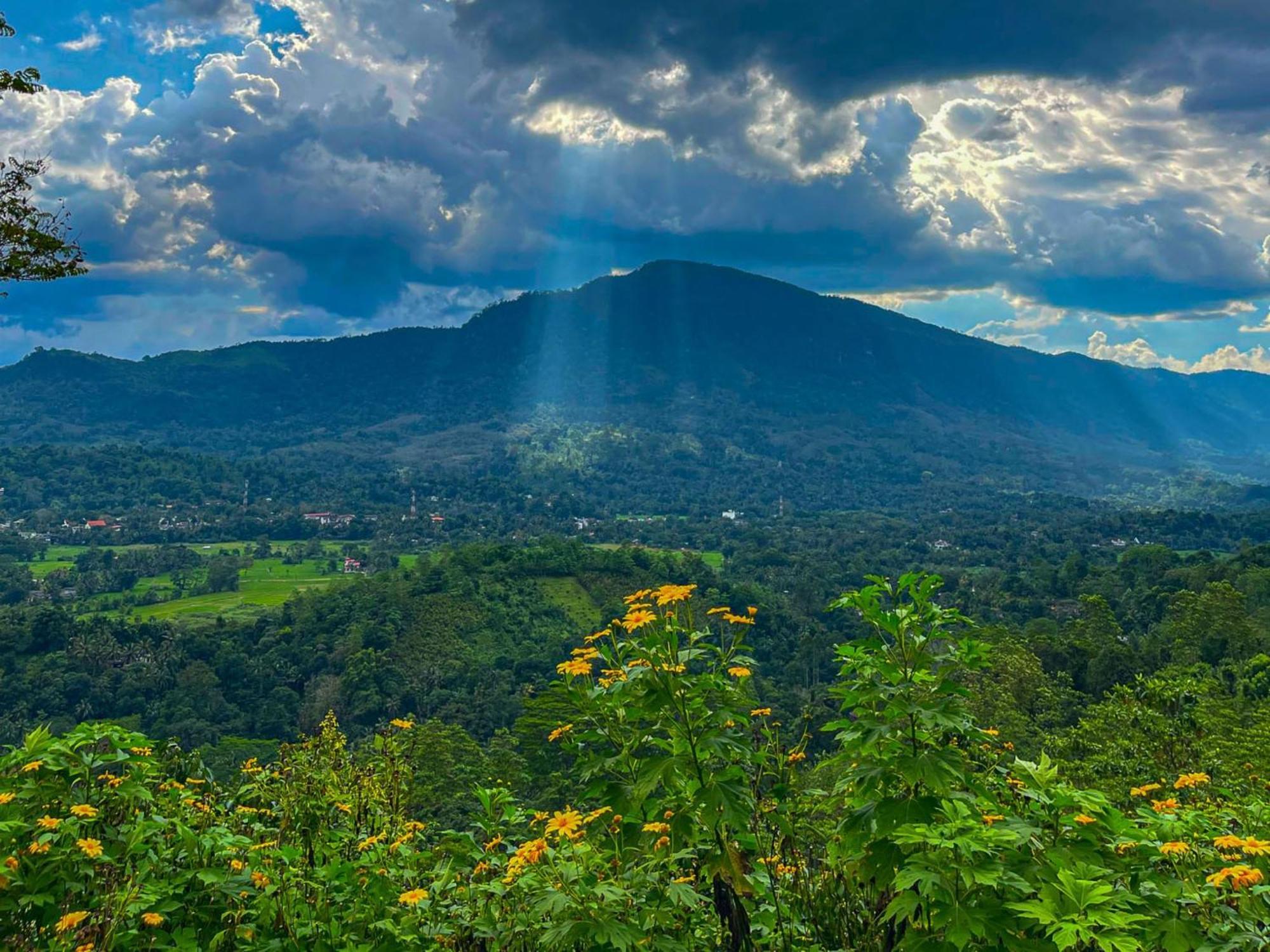 Terrace Cinnamon View Ratnapura Kültér fotó